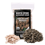 Image thumbnail: Plug Spawn Organic Hen of the Woods (Maitake) Plug Spawn