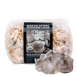 Image thumbnail: Plug Spawn Organic Italian Oyster Mushroom Plug Spawn