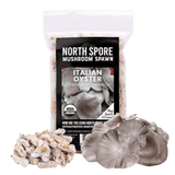 Image thumbnail: Plug Spawn Organic Italian Oyster Mushroom Plug Spawn