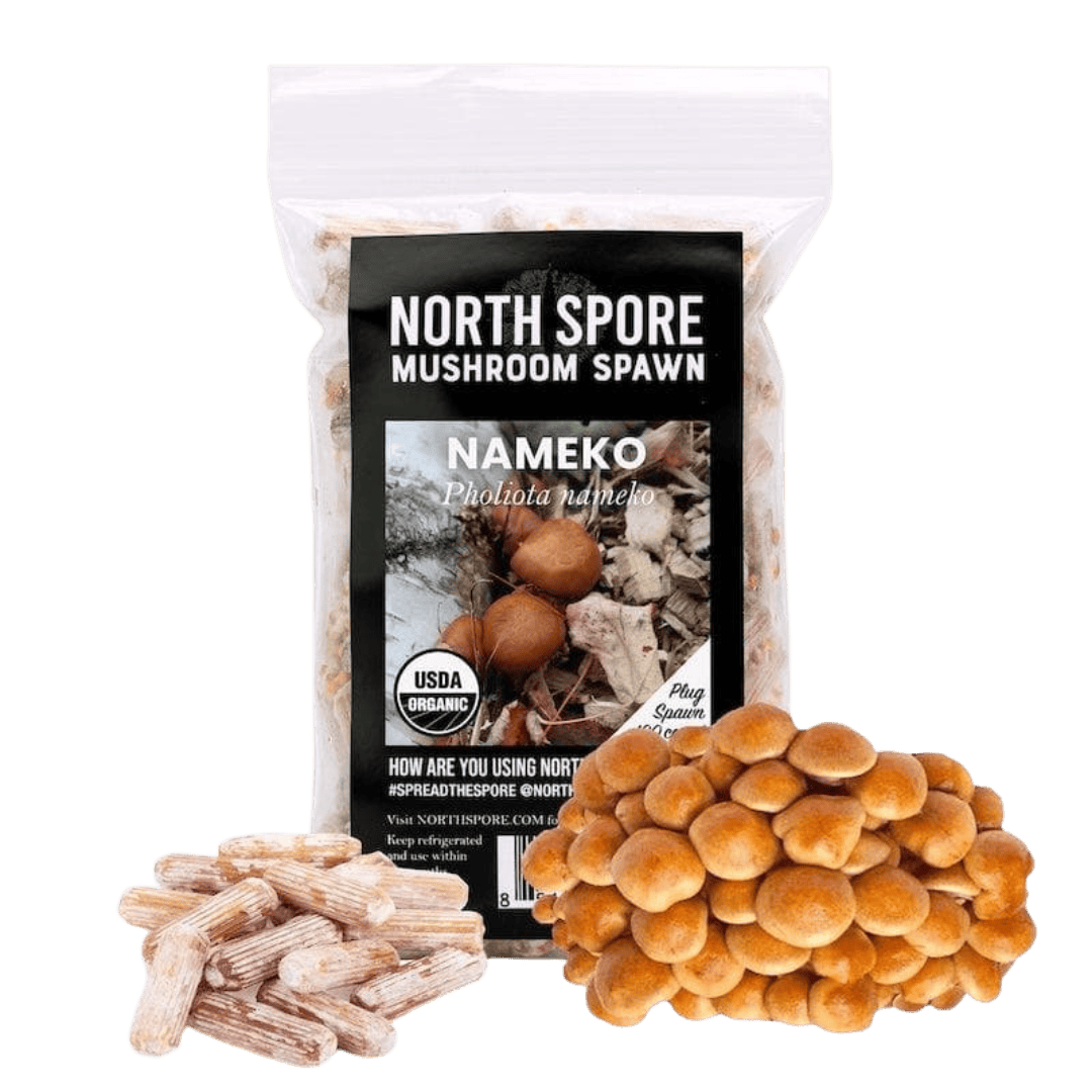 Plug Spawn Organic Nameko Mushroom Plug Spawn