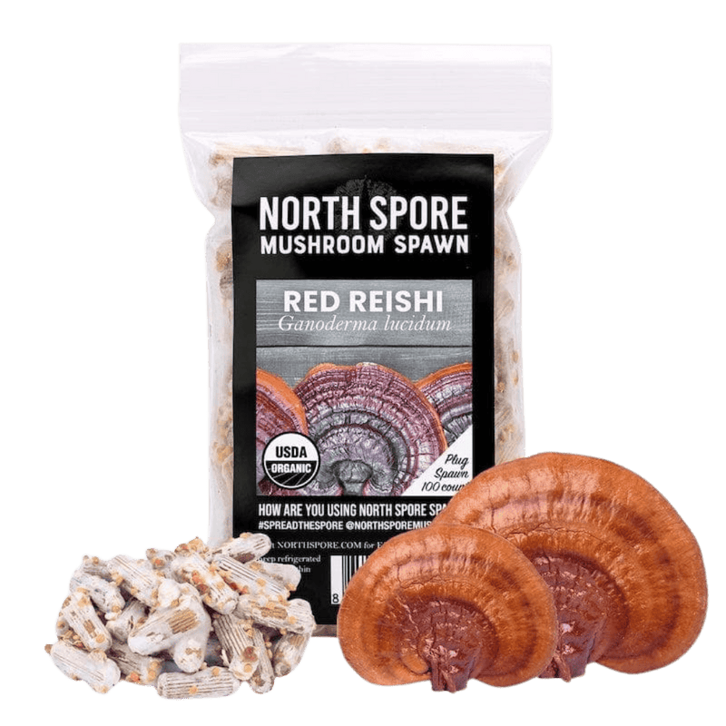 Plug Spawn Organic Red Reishi Mushroom Plug Spawn