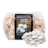 Image thumbnail: Plug Spawn Organic Snow Oyster Mushroom Plug Spawn