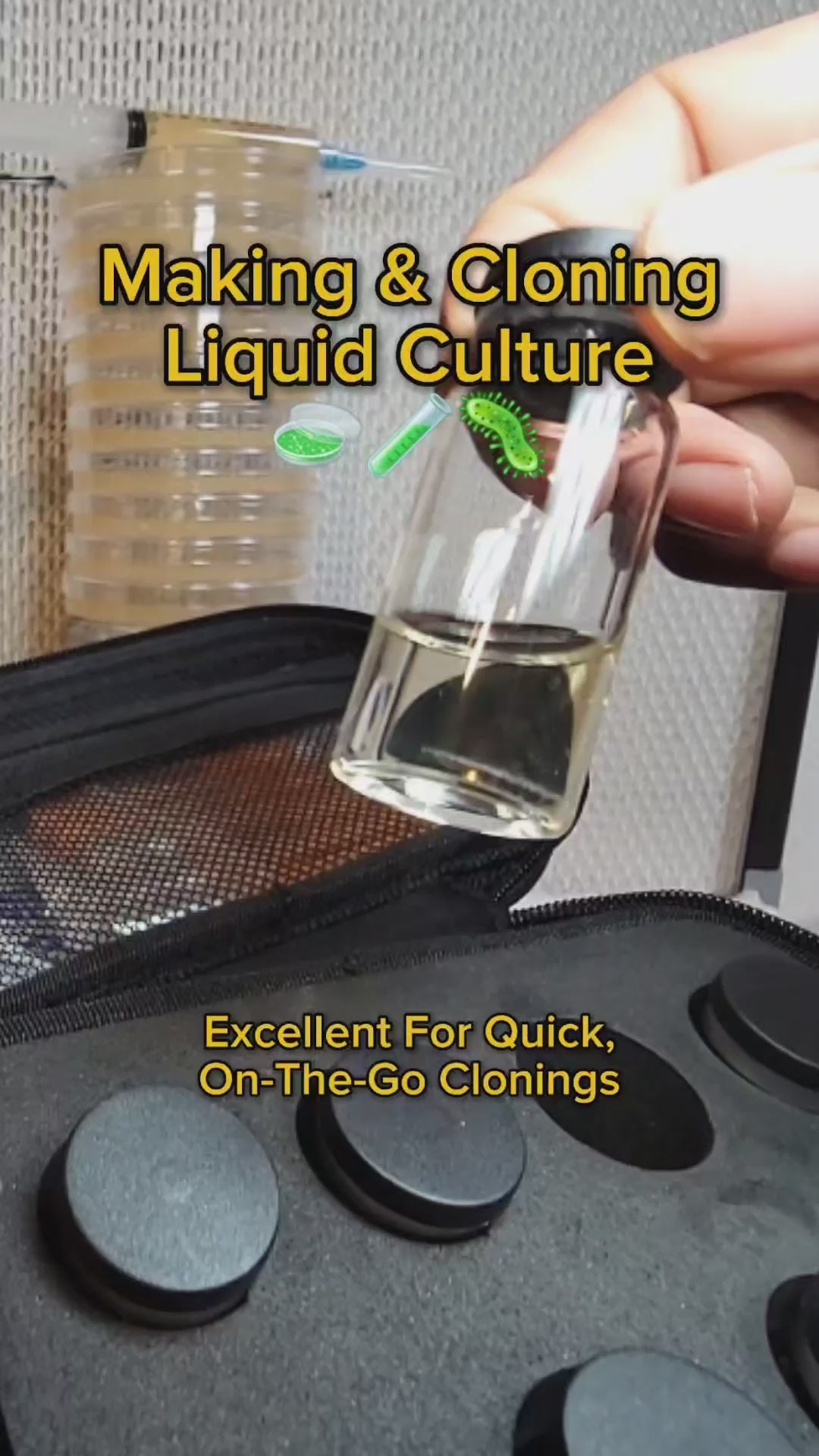 30x Syringe Multiplier & Spore Germination Liquid Culture Kit