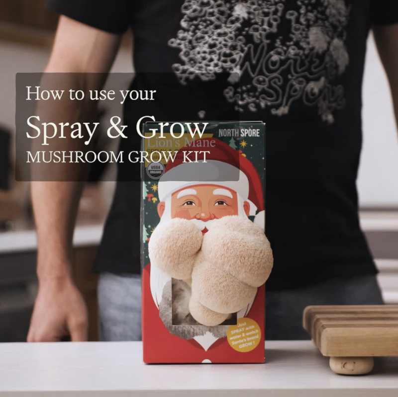 Santa spray and grow kit instructions