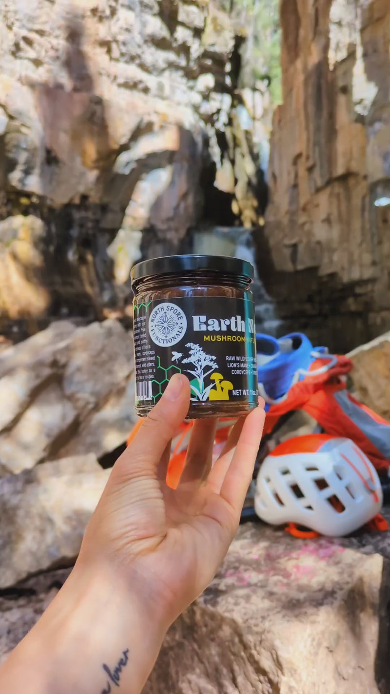 Earth Nectar: Mushroom-Infused Wildflower Honey
