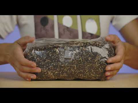 'ShroomTek' + Spore Boostr All-In-One Mushroom Grow Bag