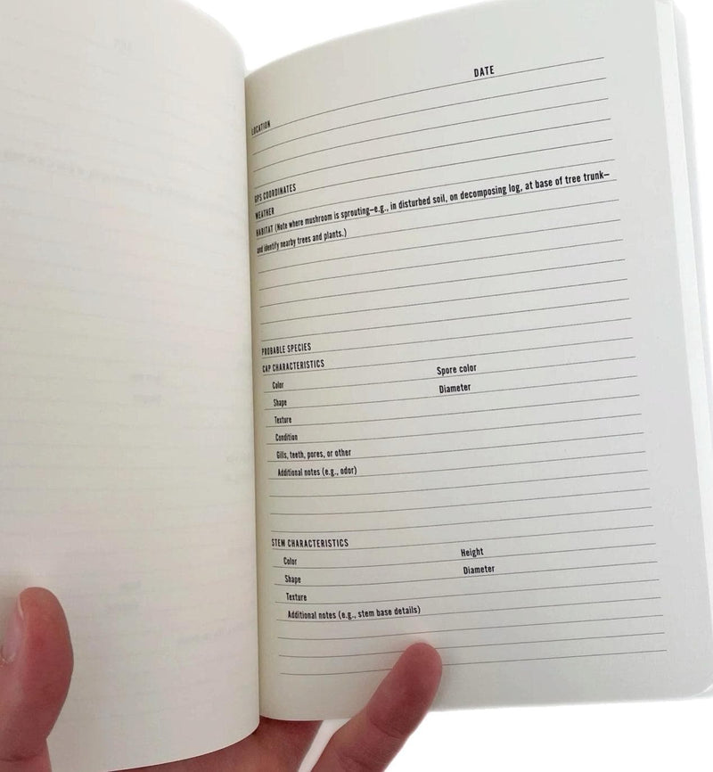 Print Books Mountaineers Books Log Book