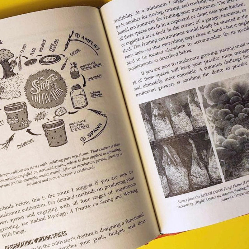 Print Books The Mycocultural Revolution: Transforming Our World