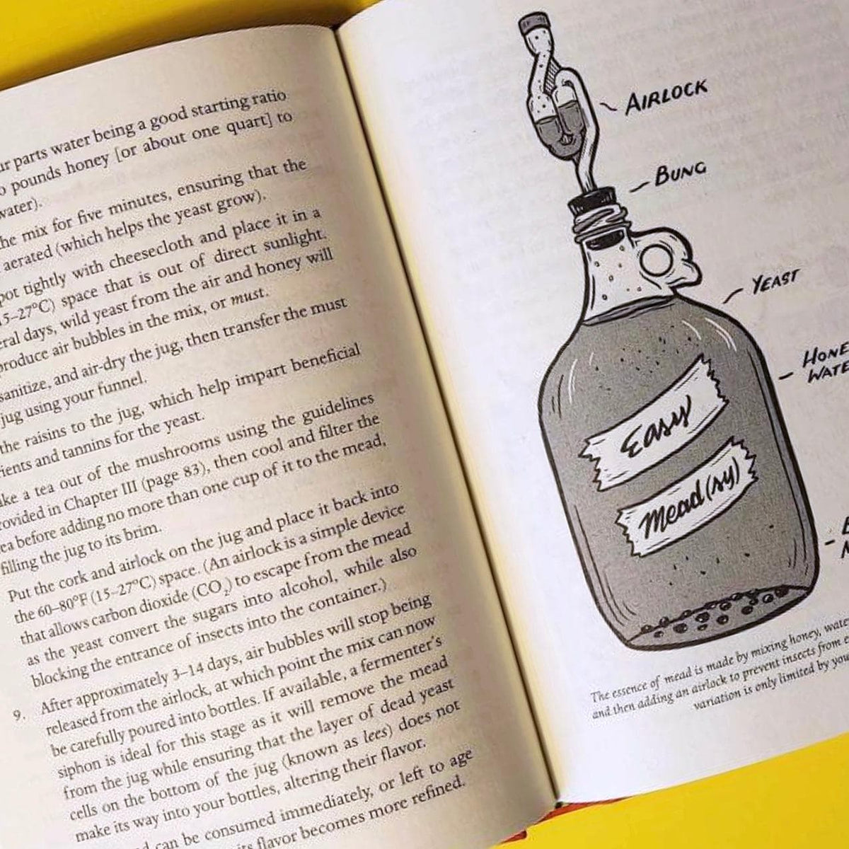 Print Books The Mycocultural Revolution: Transforming Our World