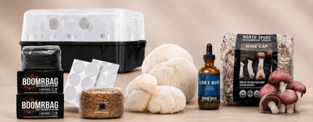 Mushroom product finder