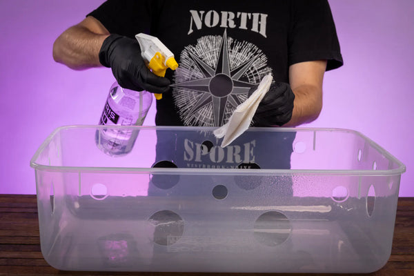 A person wearing black gloves sprays and wipes the inside of a clear plastic container with holes, against a purple background.