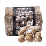 Image thumbnail: Sawdust Spawn Organic Almond Agaricus Mushroom Sawdust Spawn
