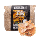 Image thumbnail: Sawdust Spawn Organic Chicken of the Woods Sawdust Spawn