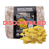 Image thumbnail: Sawdust Spawn Organic Golden Oyster Mushroom Sawdust Spawn