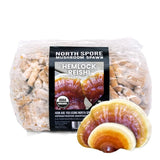 Image thumbnail: Sawdust Spawn Organic Hemlock Reishi Mushroom Plug Spawn