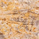 Image thumbnail: Sawdust Spawn Organic Hemlock Reishi Mushroom Sawdust Spawn