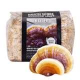 Image thumbnail: Sawdust Spawn Organic Hemlock Reishi Mushroom Sawdust Spawn