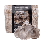 Image thumbnail: Sawdust Spawn Organic Italian Oyster Mushroom Sawdust Spawn