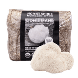 Image thumbnail: Sawdust Spawn Organic Lion's Mane Mushroom Sawdust Spawn