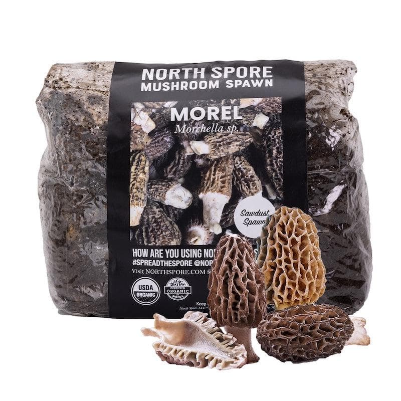 Morel Mushroom Grow Kit