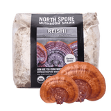 Image thumbnail: Sawdust Spawn Organic Red Reishi Mushroom Sawdust Spawn