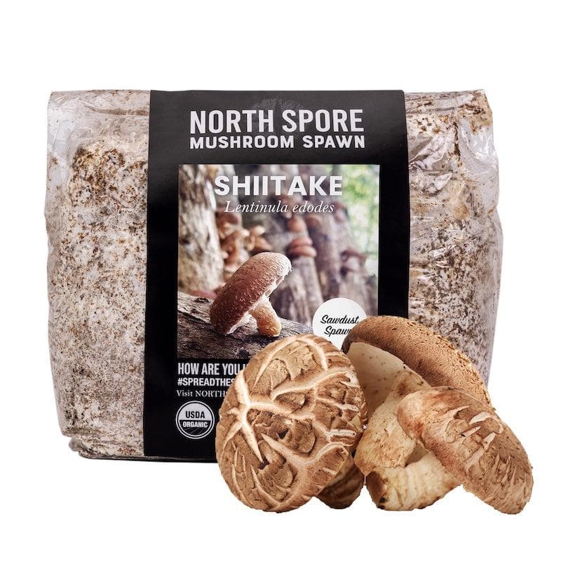Organic Mushroom Sawdust Spawn | USDA-Certified Organic