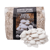 Image thumbnail: Sawdust Spawn Organic Snow Oyster Mushroom Sawdust Spawn