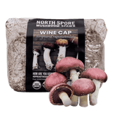 Image thumbnail: Sawdust Spawn Organic Wine Cap Mushroom Sawdust Spawn