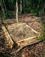 Image thumbnail: Sawdust Spawn Oyster Mushroom Garden Bed Kit