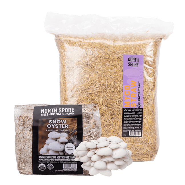 Snow Oyster Mushroom Garden Bed Kit