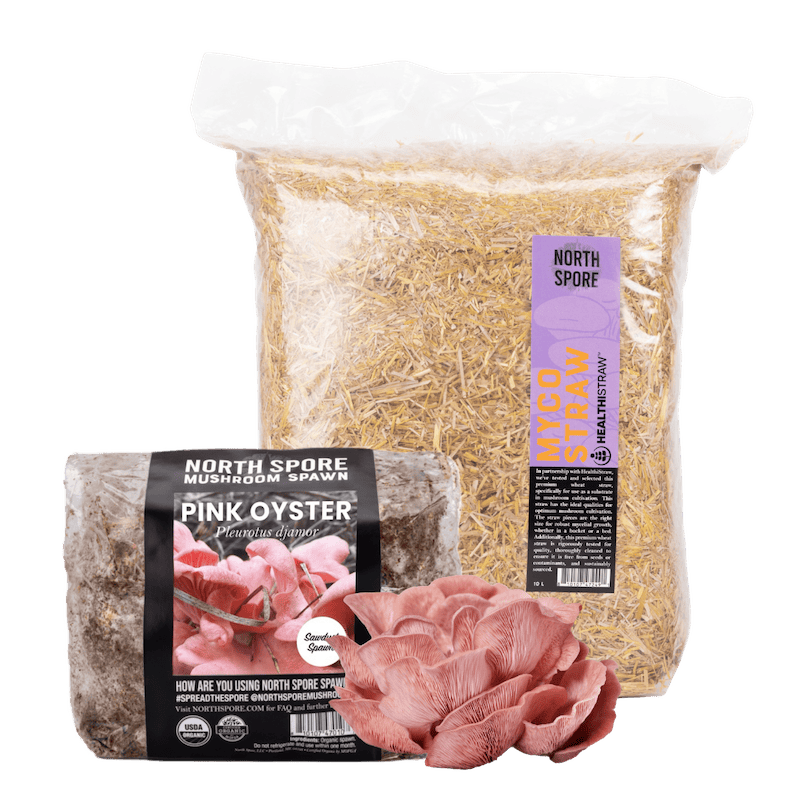 Sawdust Spawn Oyster Mushroom Garden Bed Kit