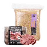 Image thumbnail: Sawdust Spawn Oyster Mushroom Garden Bed Kit