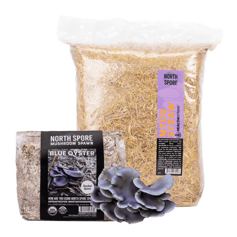 Sawdust Spawn Oyster Mushroom Garden Bed Kit