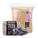 Blue Oyster Bed Bundle