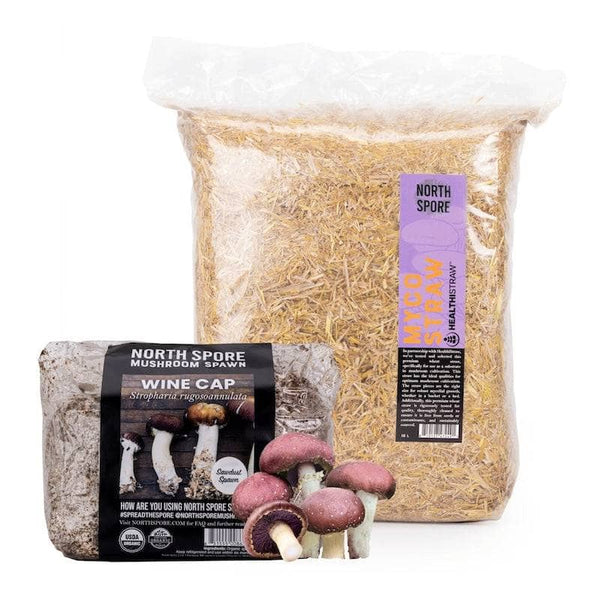 Wine Cap Mushroom Bed Bundle – North Spore