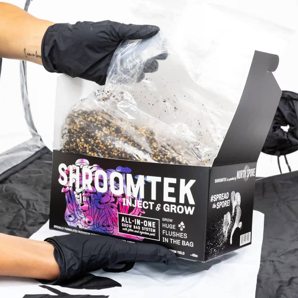 A person wearing black gloves handles a plastic bag of mushroom substrate inside an open ShroomTek grow kit box labeled Inject & Grow.