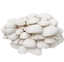 A cluster of white oyster mushrooms stacked closely together on a plain white background.