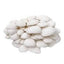 Snow Oyster