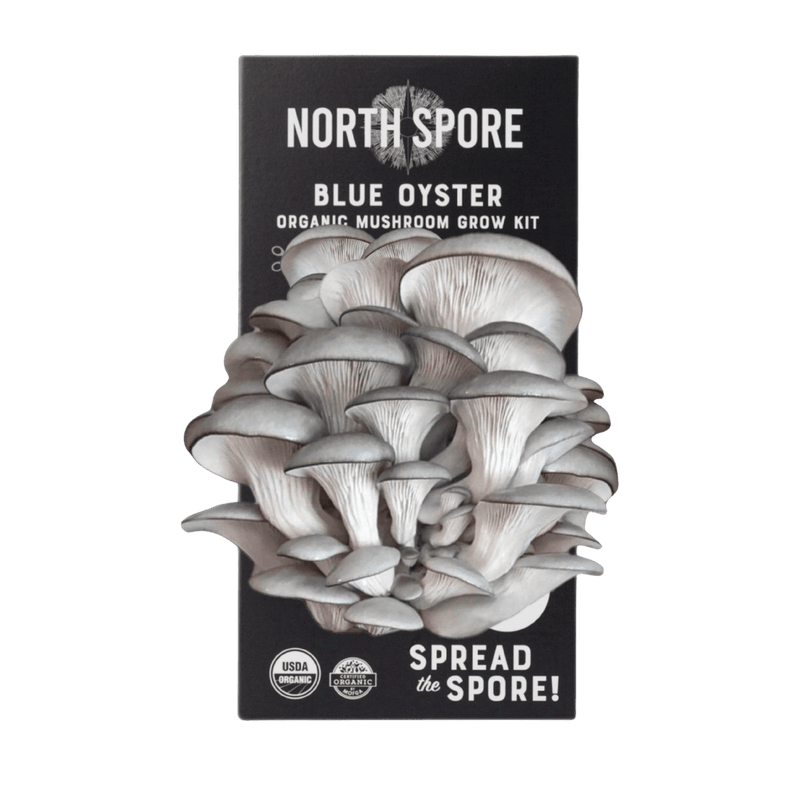 Spray & Grow Kit Organic Blue Oyster ‘Spray & Grow’ Mushroom Growing Kit