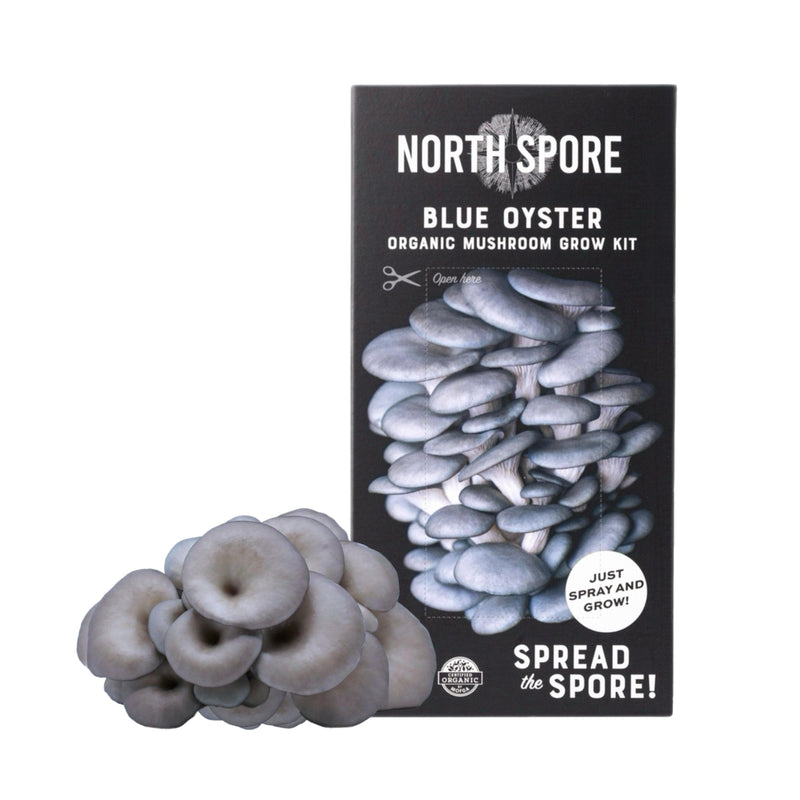 Spray & Grow Kit Organic Blue Oyster ‘Spray & Grow’ Mushroom Growing Kit