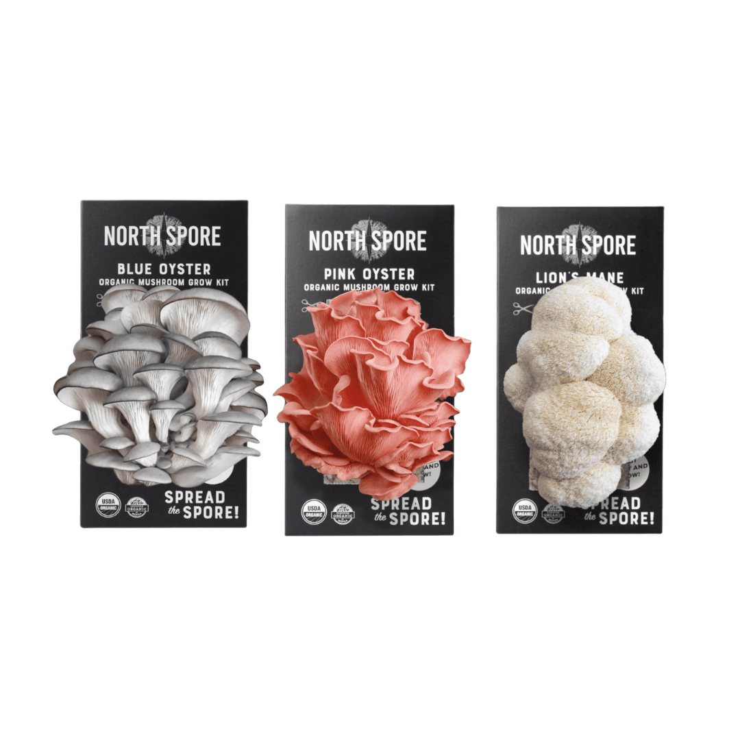 Spray & Grow Kit Organic Educator Spray and Grow Mushroom Kit (6-Pack Bundle)