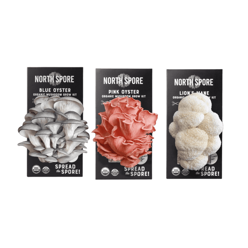 Spray & Grow Kit Organic Educator Spray and Grow Mushroom Kit (6-Pack Bundle)