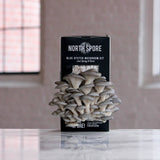 Image thumbnail: Spray & Grow Kit Organic Educator Spray and Grow Mushroom Kit (6-Pack Bundle)