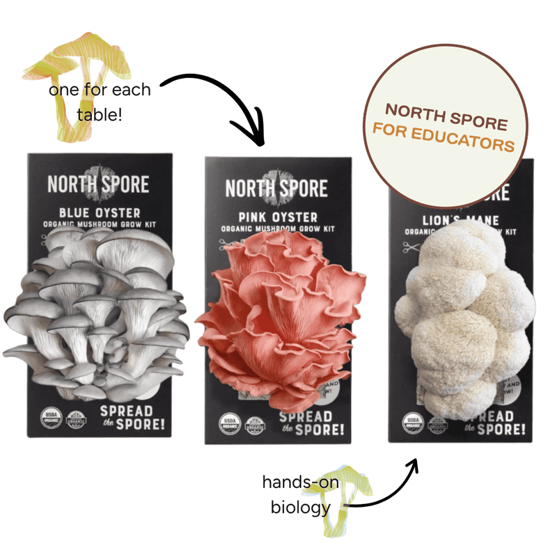 Spray & Grow Kit Organic Educator Spray and Grow Mushroom Kit (6-Pack Bundle)