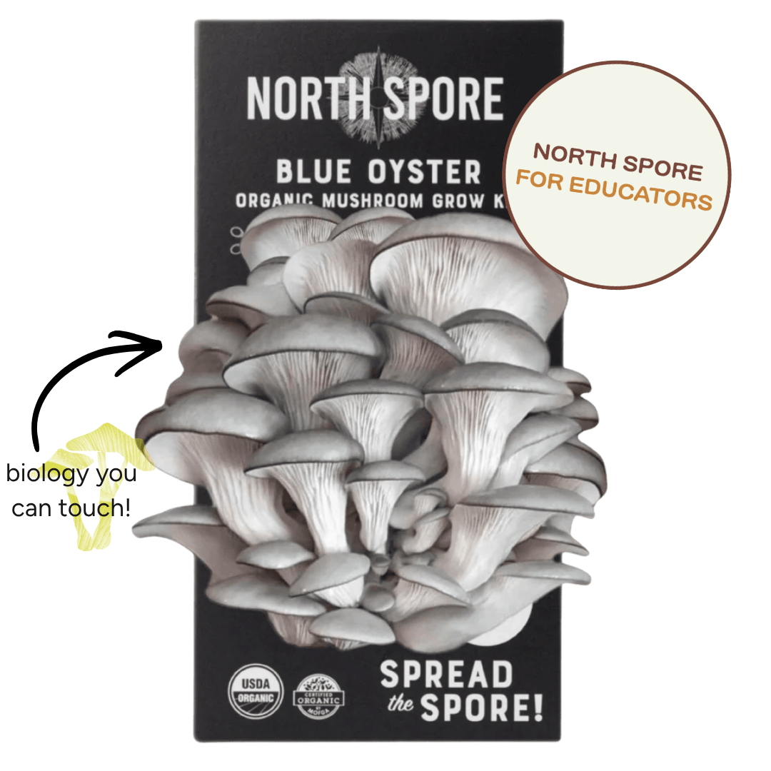 Spray & Grow Kit Organic Educator Spray and Grow Mushroom Kit (Blue Oyster)