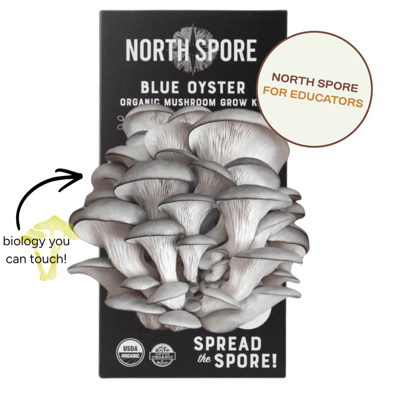 Spray & Grow Kit Organic Educator Spray and Grow Mushroom Kit (Blue Oyster)