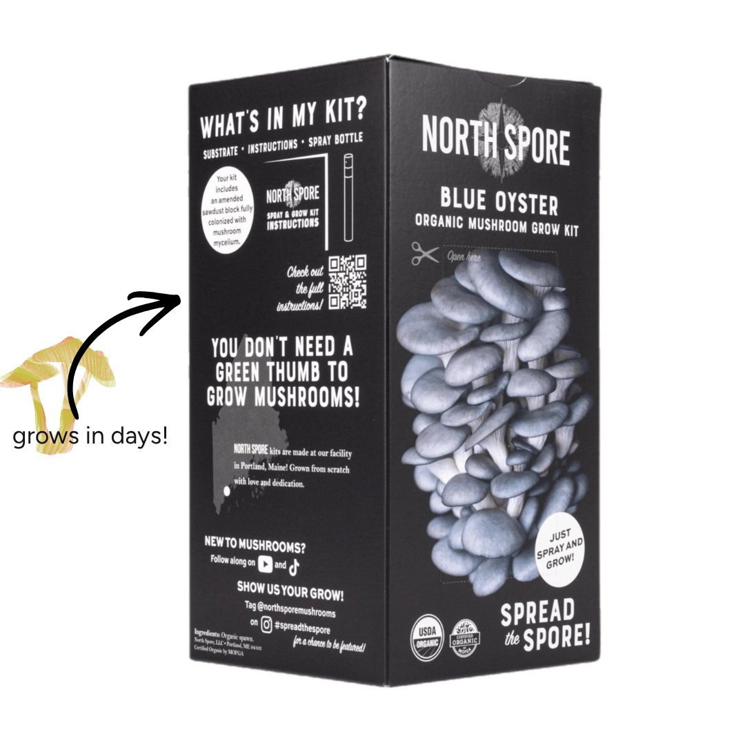 Spray & Grow Kit Organic Educator Spray and Grow Mushroom Kit (Blue Oyster)