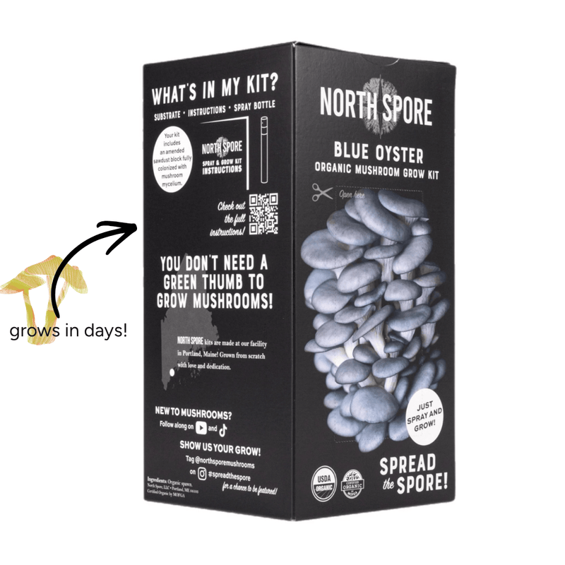Spray & Grow Kit Organic Educator Spray and Grow Mushroom Kit (Blue Oyster)