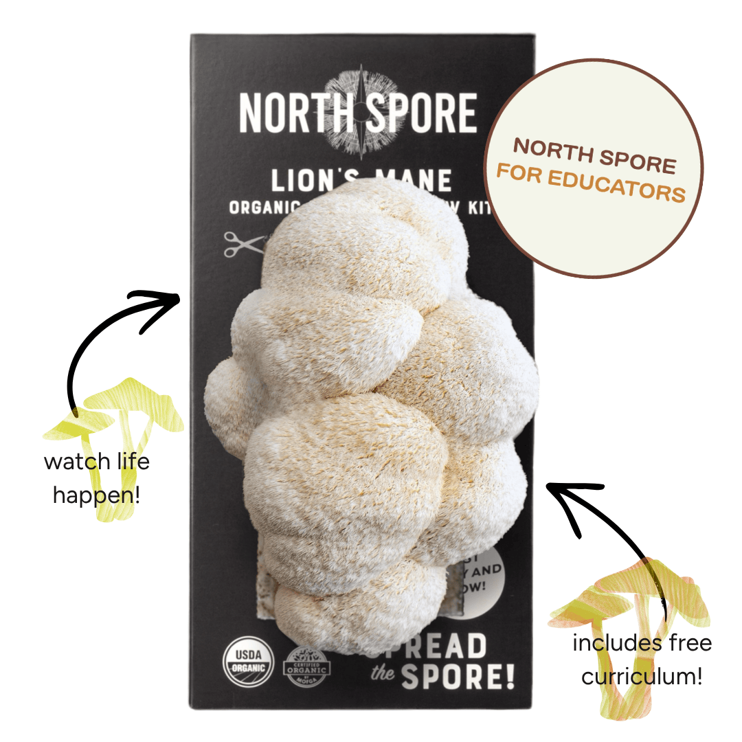 Spray & Grow Kit Organic Educator Spray and Grow Mushroom Kit (Lion's Mane)