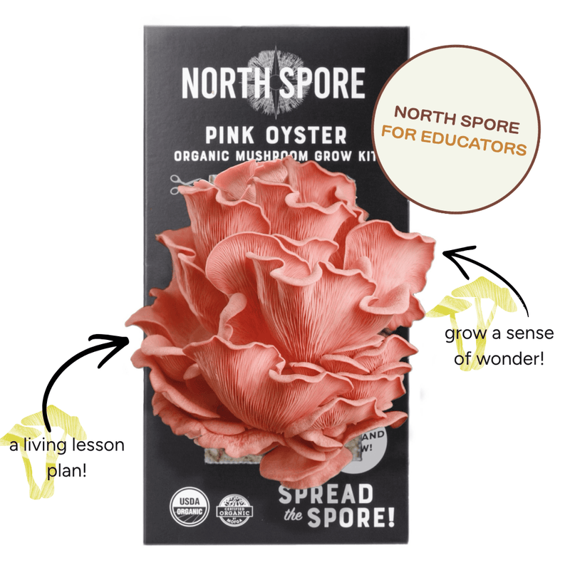 Spray & Grow Kit Organic Educator Spray and Grow Mushroom Kit (Pink Oyster)